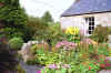 Carols garden3.jpg (202349 bytes)