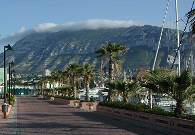 Landscape scene with palm trees and mountain